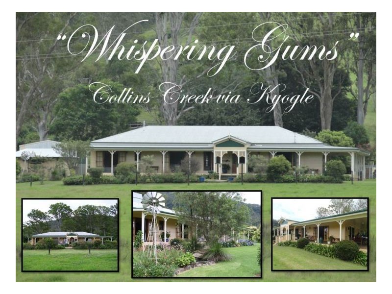 1233 Collins Creek Road, Kyogle NSW 2474