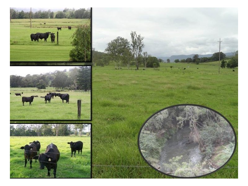 1233 Collins Creek Road, Kyogle NSW 2474