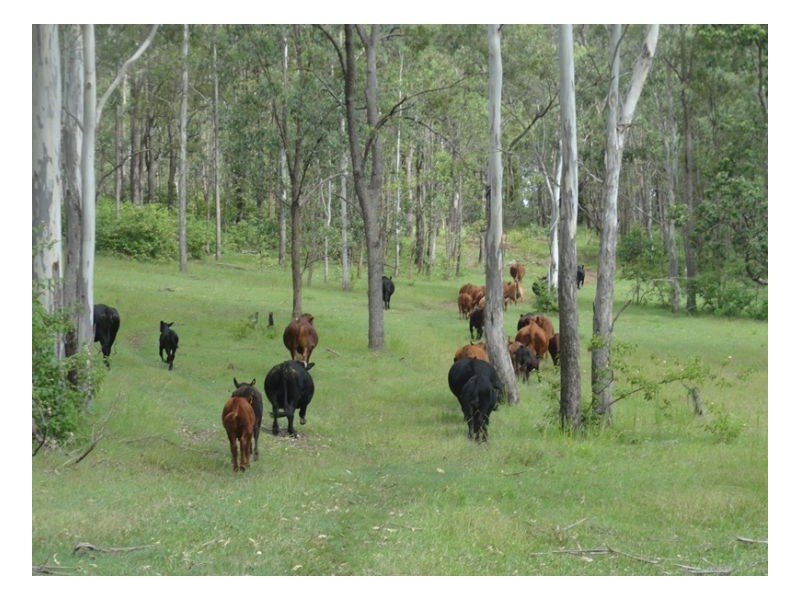 121/122 Bennetts Road, Kyogle NSW 2474