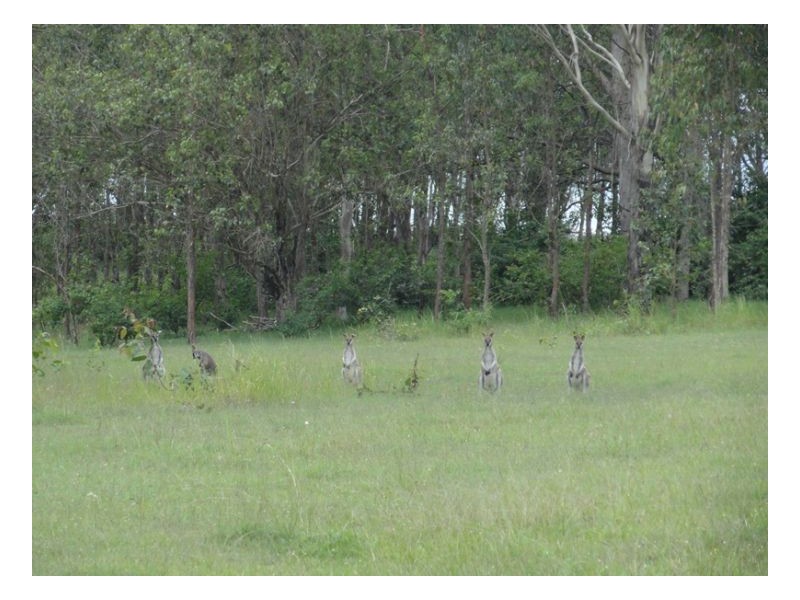 121/122 Bennetts Road, Kyogle NSW 2474