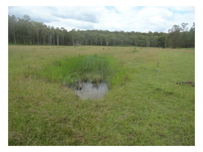 121/122 Bennetts Road, Kyogle NSW 2474