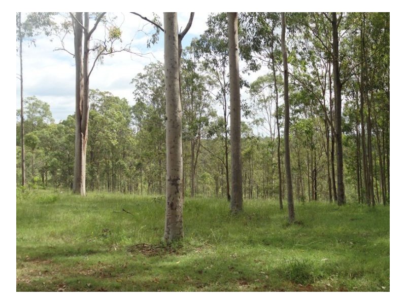 121/122 Bennetts Road, Kyogle NSW 2474