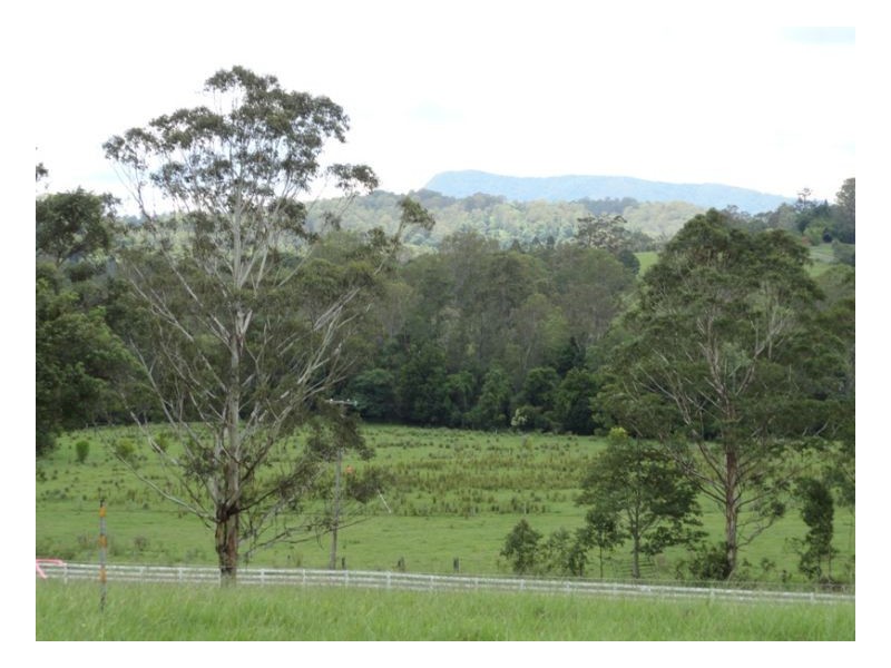 7 Oxbow Road, Kyogle NSW 2474