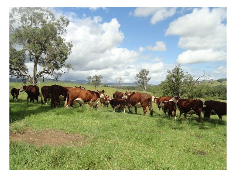 2 Sherwood Road, Kyogle NSW 2474