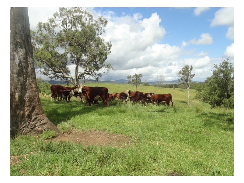 2 Sherwood Road, Kyogle NSW 2474