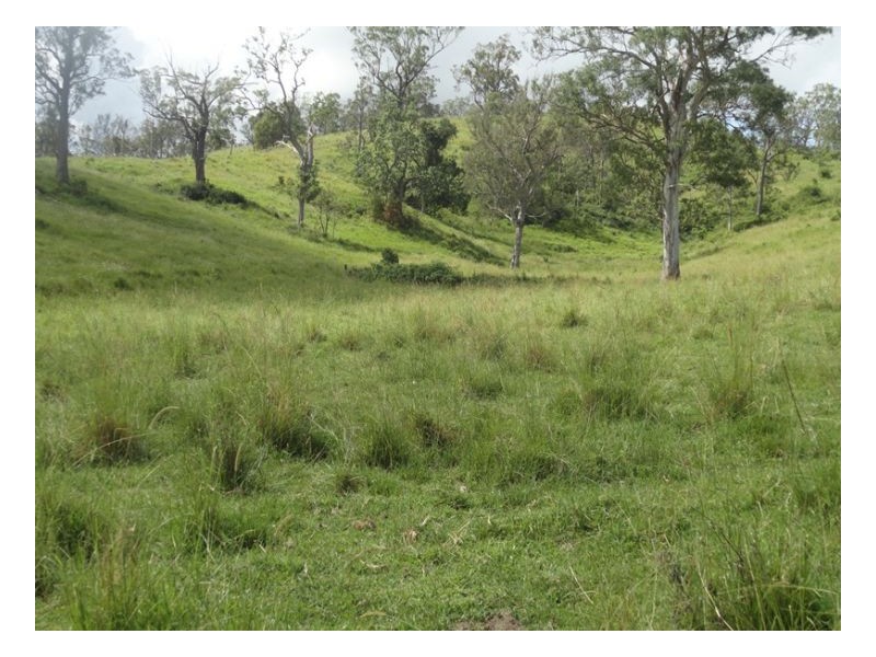 2 Sherwood Road, Kyogle NSW 2474