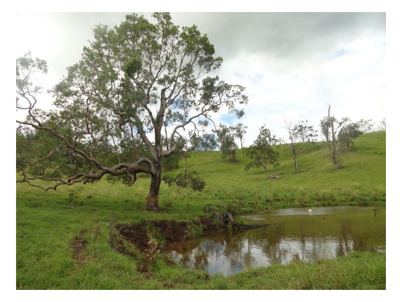 2 Sherwood Road, Kyogle NSW 2474