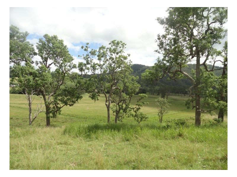 2 Sherwood Road, Kyogle NSW 2474