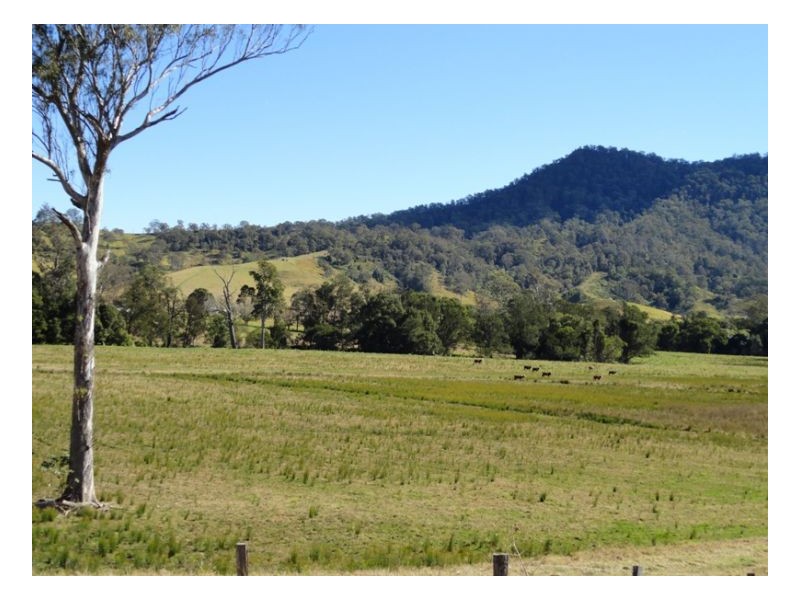 2 Sherwood Road, Kyogle NSW 2474