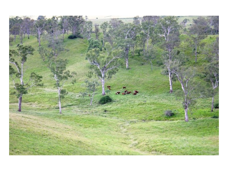 Part/portion Of Afterlee Road Kyogle, Kyogle NSW 2474