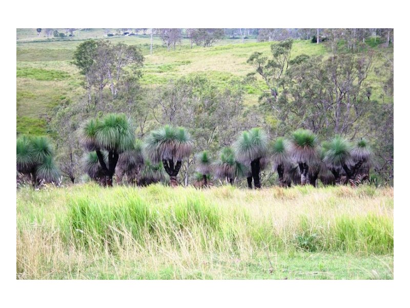 Part/portion Of Afterlee Road Kyogle, Kyogle NSW 2474