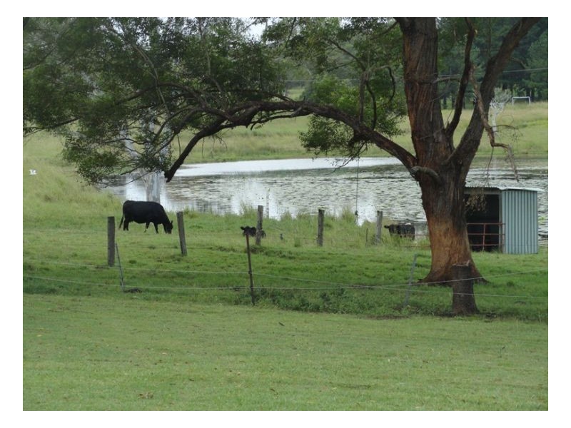 00 Reynolds Road, Kyogle NSW 2474