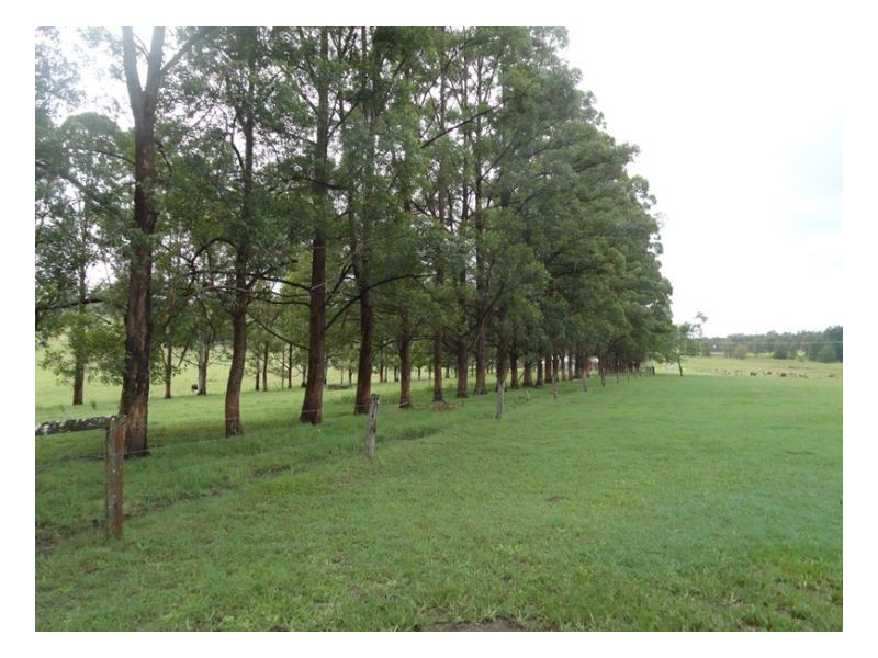 00 Reynolds Road, Kyogle NSW 2474