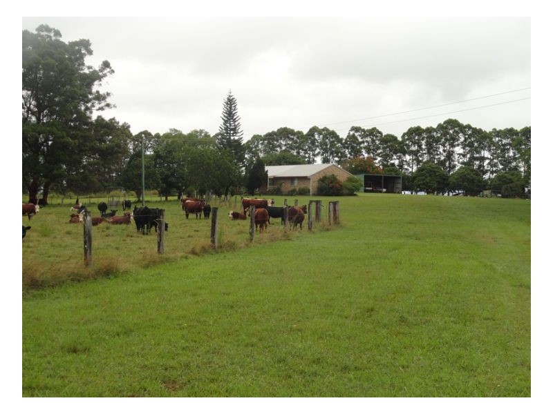 00 Reynolds Road, Kyogle NSW 2474