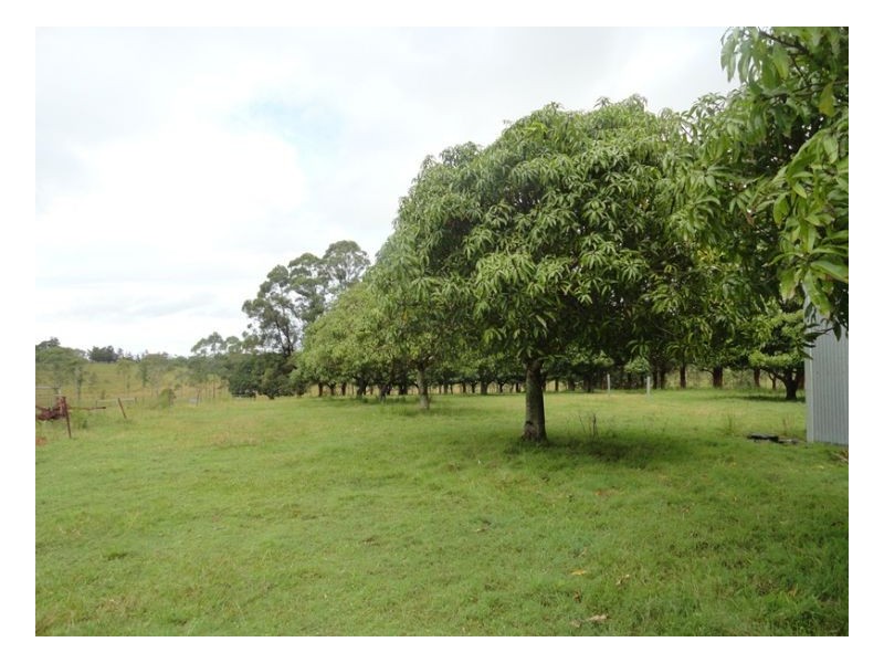 00 Reynolds Road, Kyogle NSW 2474