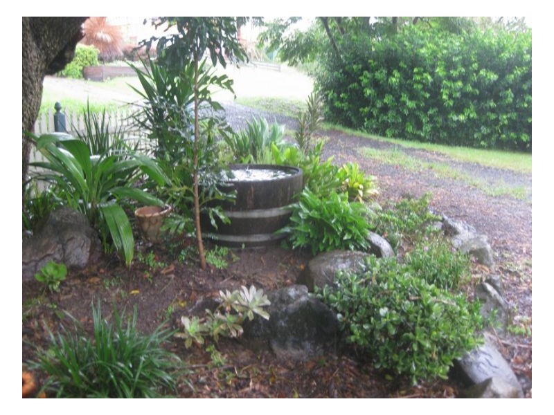 26 Fawcett, Kyogle NSW 2474