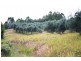 114 Atkins Road Cawongla, Kyogle NSW 2474