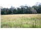 114 Atkins Road Cawongla, Kyogle NSW 2474