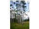 114 Atkins Road Cawongla, Kyogle NSW 2474