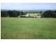 110 Fairy School Road, Kyogle NSW 2474