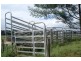 110 Fairy School Road, Kyogle NSW 2474