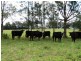 110 Fairy School Road, Kyogle NSW 2474