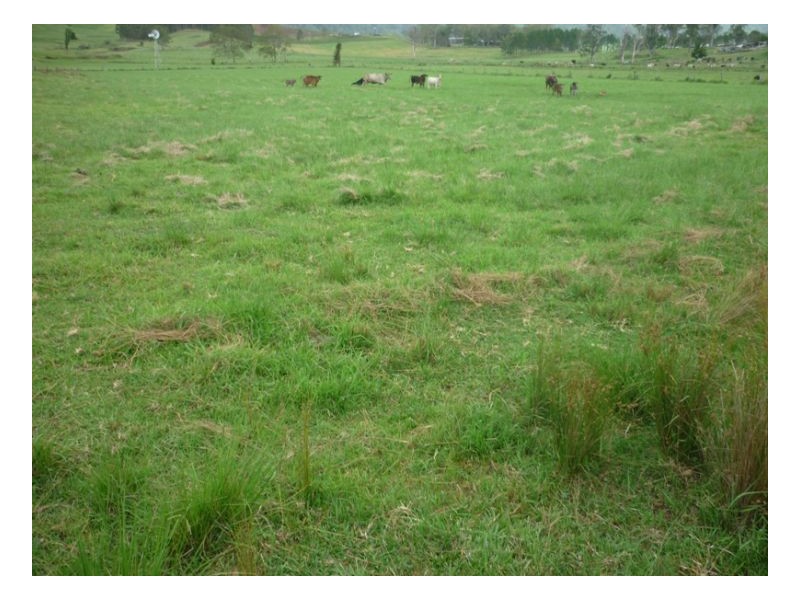 10 Karina Place, Kyogle NSW 2474