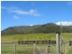 372 Roseberry Creek Road, Kyogle NSW 2474