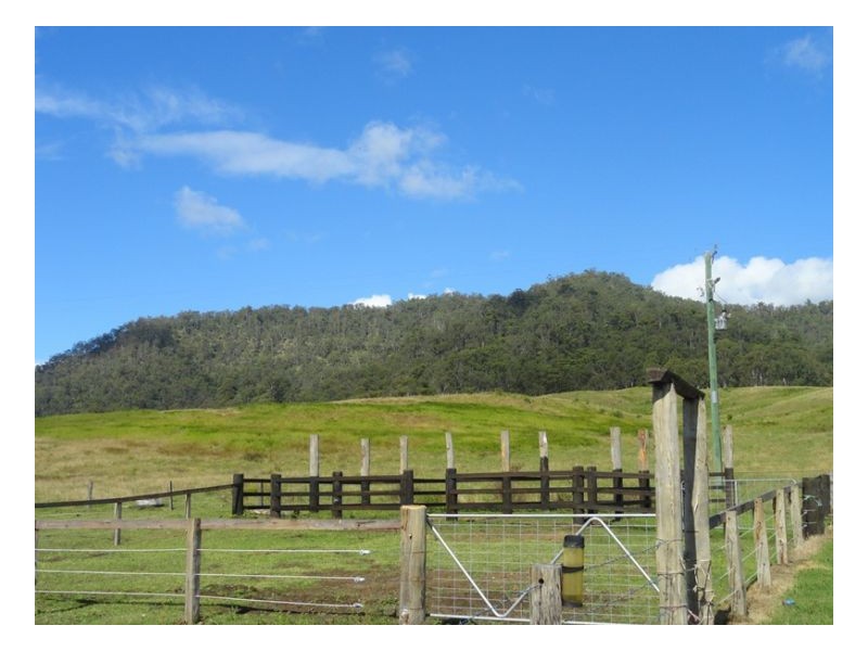 372 Roseberry Creek Road, Kyogle NSW 2474