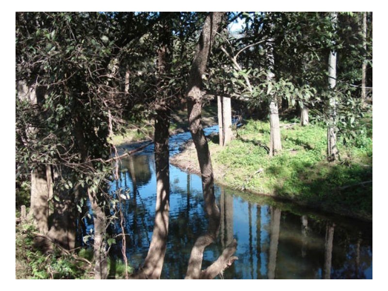 372 Roseberry Creek Road, Kyogle NSW 2474