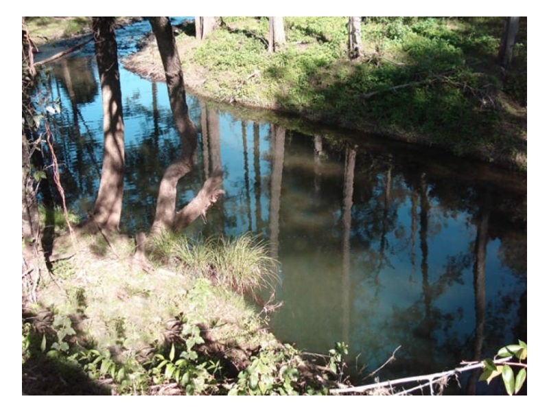 400 Roseberry Creek Road, Kyogle NSW 2474