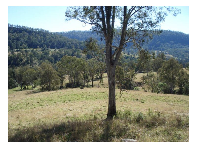 400 Roseberry Creek Road, Kyogle NSW 2474