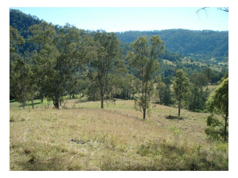 400 Roseberry Creek Road, Kyogle NSW 2474