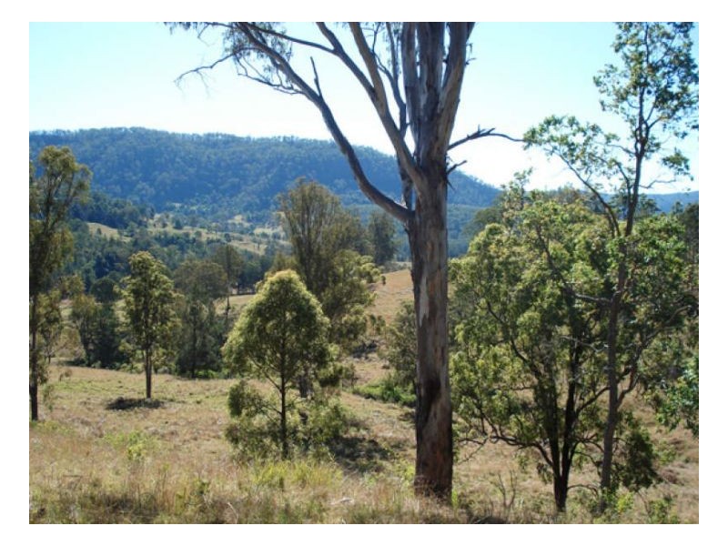 400 Roseberry Creek Road, Kyogle NSW 2474