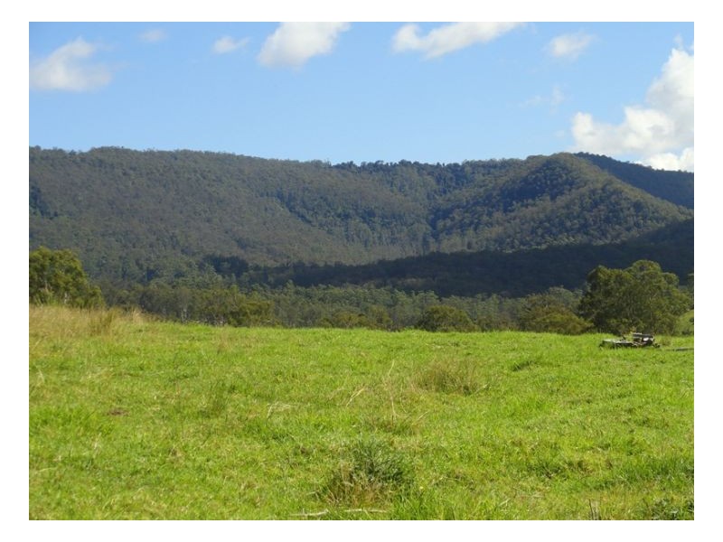 400 Roseberry Creek Road, Kyogle NSW 2474