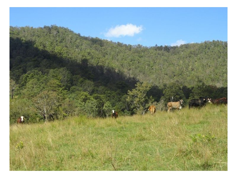 400 Roseberry Creek Road, Kyogle NSW 2474