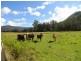 400 Roseberry Creek Road, Kyogle NSW 2474