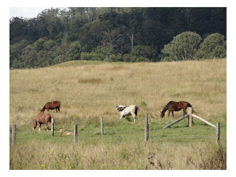 400 Roseberry Creek Road, Kyogle NSW 2474