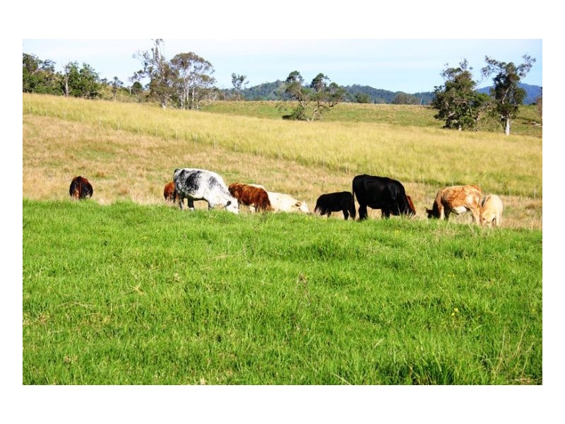 484 Sherwoods Road, Kyogle NSW 2474