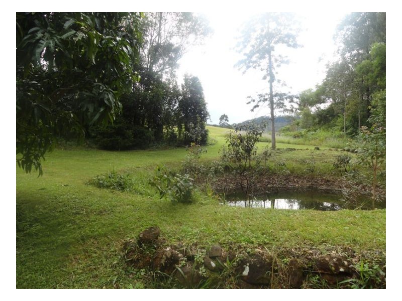 2119 Afterlee Road, Kyogle NSW 2474