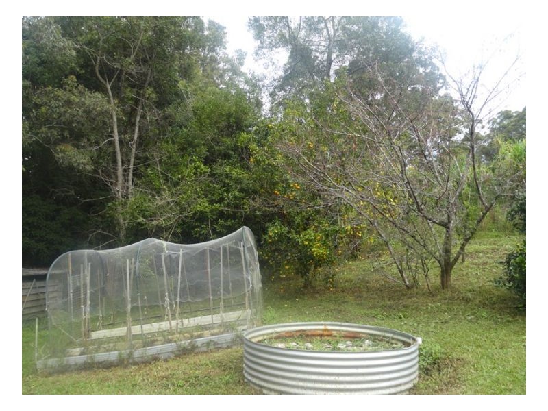 2119 Afterlee Road, Kyogle NSW 2474