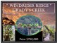 1477 Gradys Creek Road, Kyogle NSW 2474