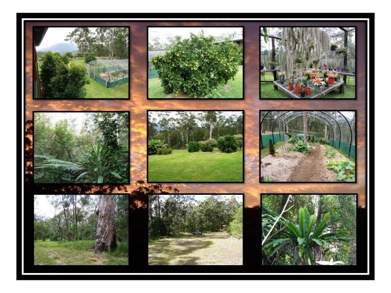 1477 Gradys Creek Road, Kyogle NSW 2474