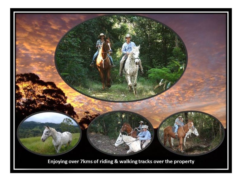 1477 Gradys Creek Road, Kyogle NSW 2474