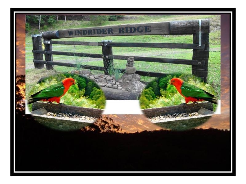 1477 Gradys Creek Road, Kyogle NSW 2474
