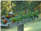 1477 Gradys Creek Road, Kyogle NSW 2474