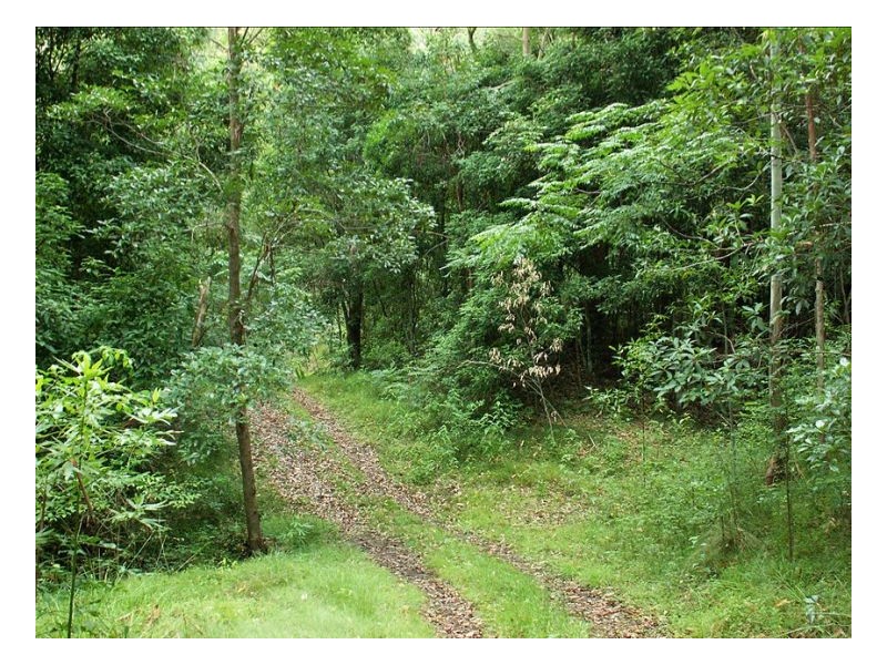 1477 Gradys Creek Road, Kyogle NSW 2474