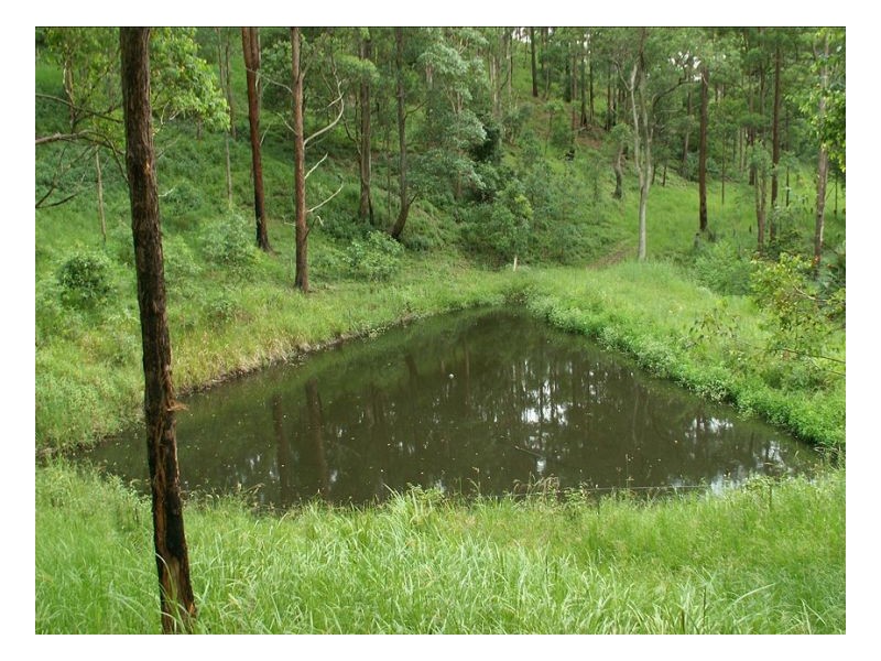 1477 Gradys Creek Road, Kyogle NSW 2474