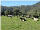 77 Ferndale Road, Kyogle NSW 2474