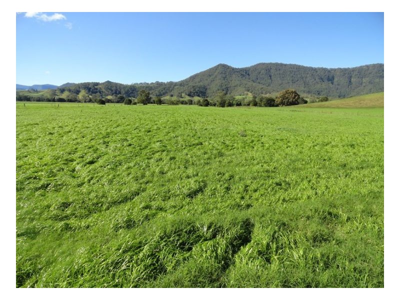 77 Ferndale Road, Kyogle NSW 2474